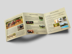 design1