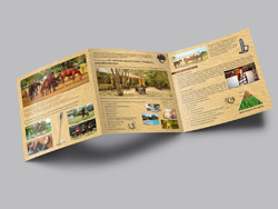 design2