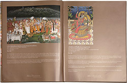 print7